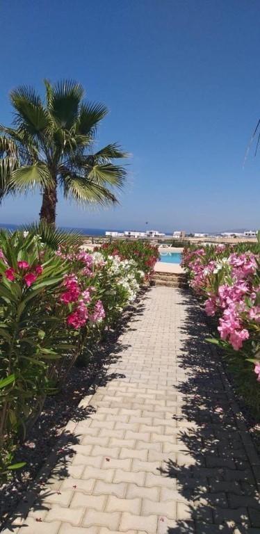 Two bedroom apartment 400 m from the sea, Esentepe district - Фото 4